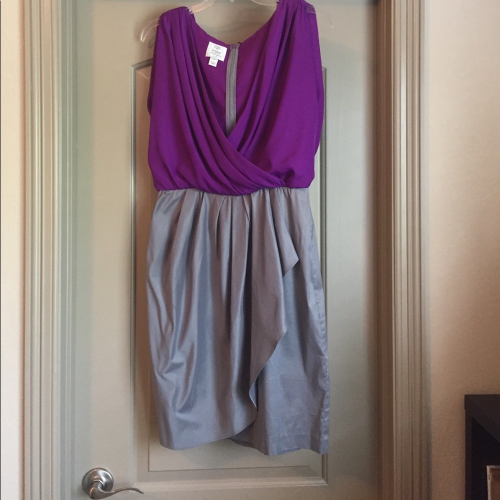 Two Toned Suzi Chin Dress