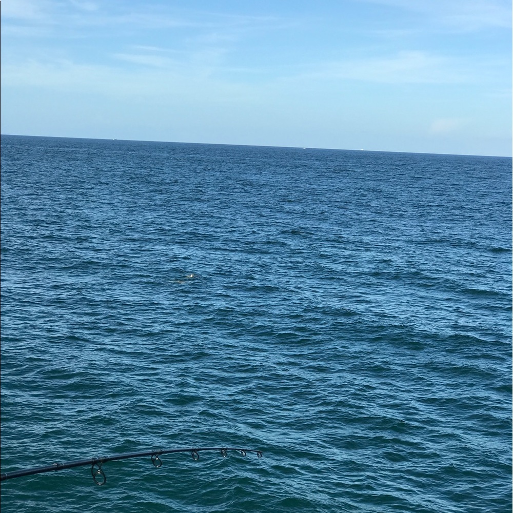 Meet your Posher, Vera