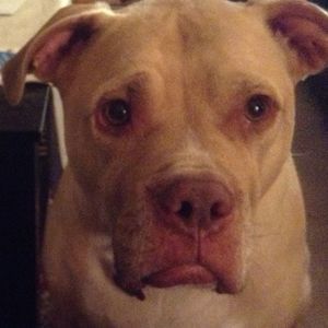 Meet your Posher, Celina