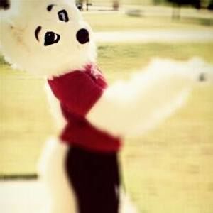 Meet your Posher, Kittenscats