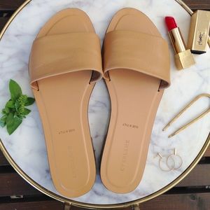 Everlane Slide Sandals, Sand, Size 10