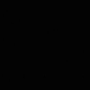 Meet your Posher, Brooklyn