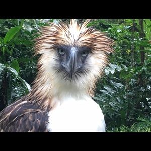 Meet your Posher, Aileen