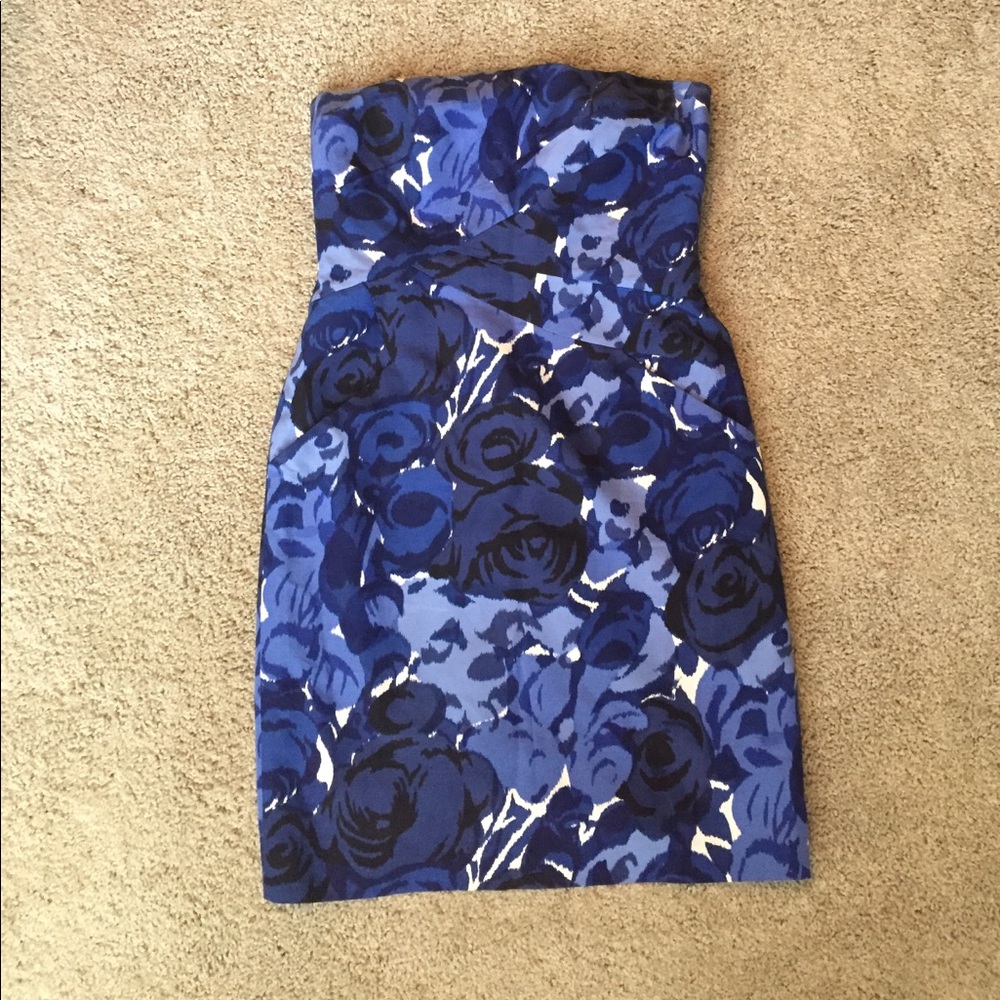 Ann Taylor Rose Dress