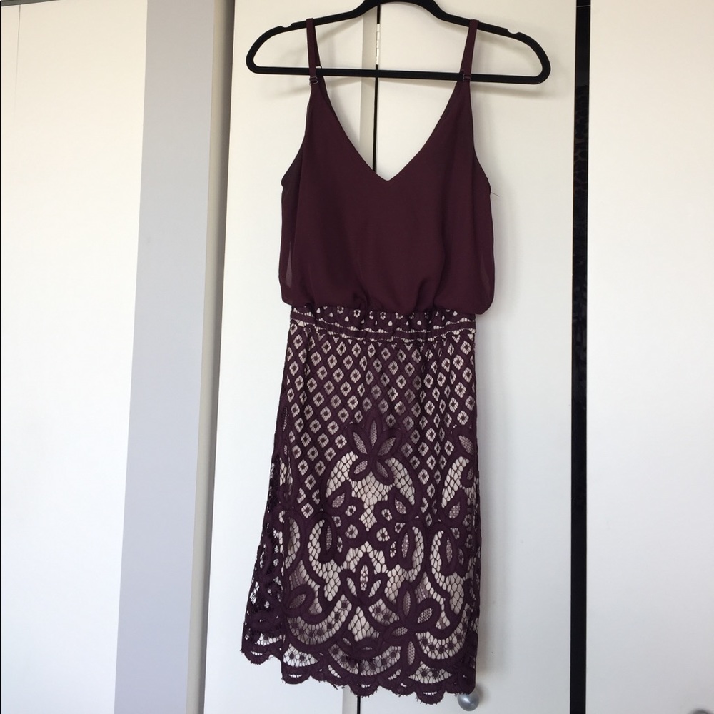 Francesca's Lace Dress