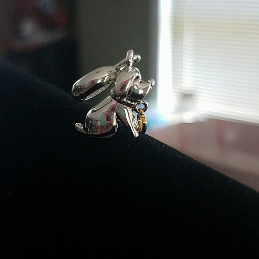 NEW Dog DiVinci Charm!