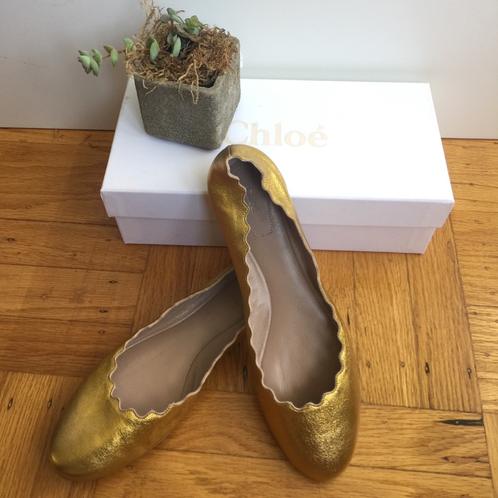 NIB Gorgeous Chloe Flats