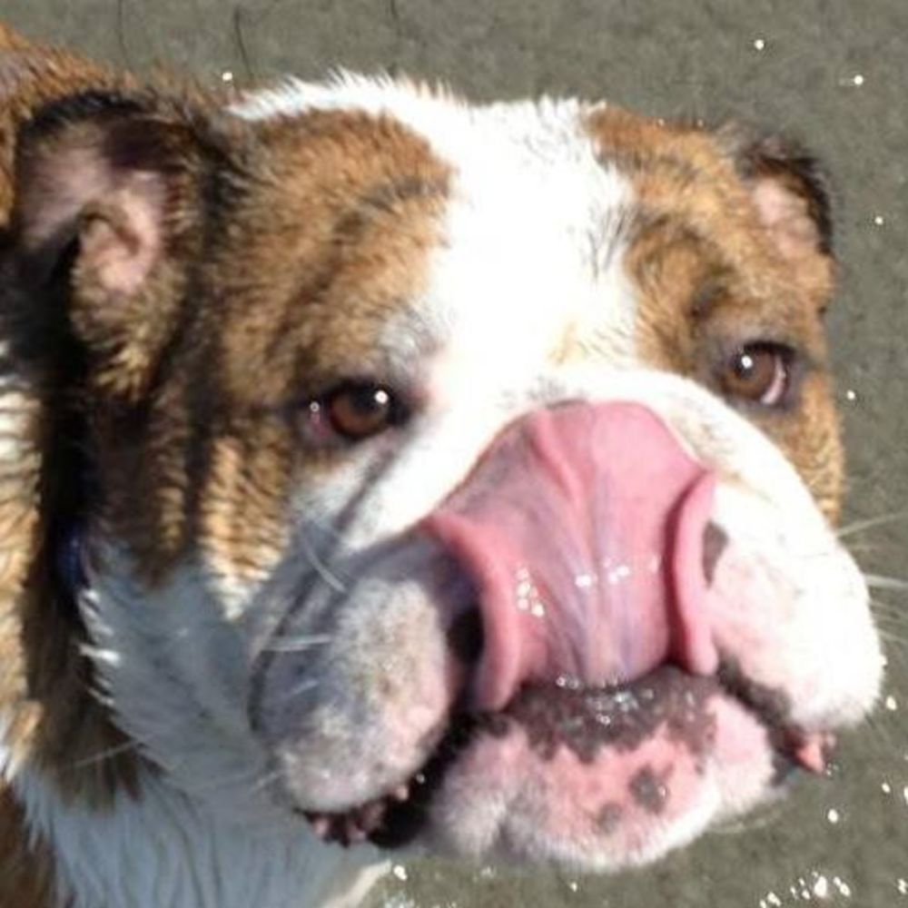 Meet your Posher, Robin