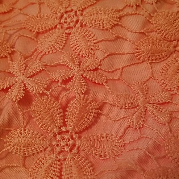 New Markdown Daisy dress w/bow & cutout back S,M,L - Picture 3 of 3