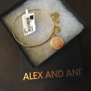 Alex and Ani