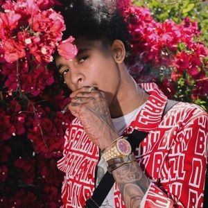 Meet your Posher, Oscar