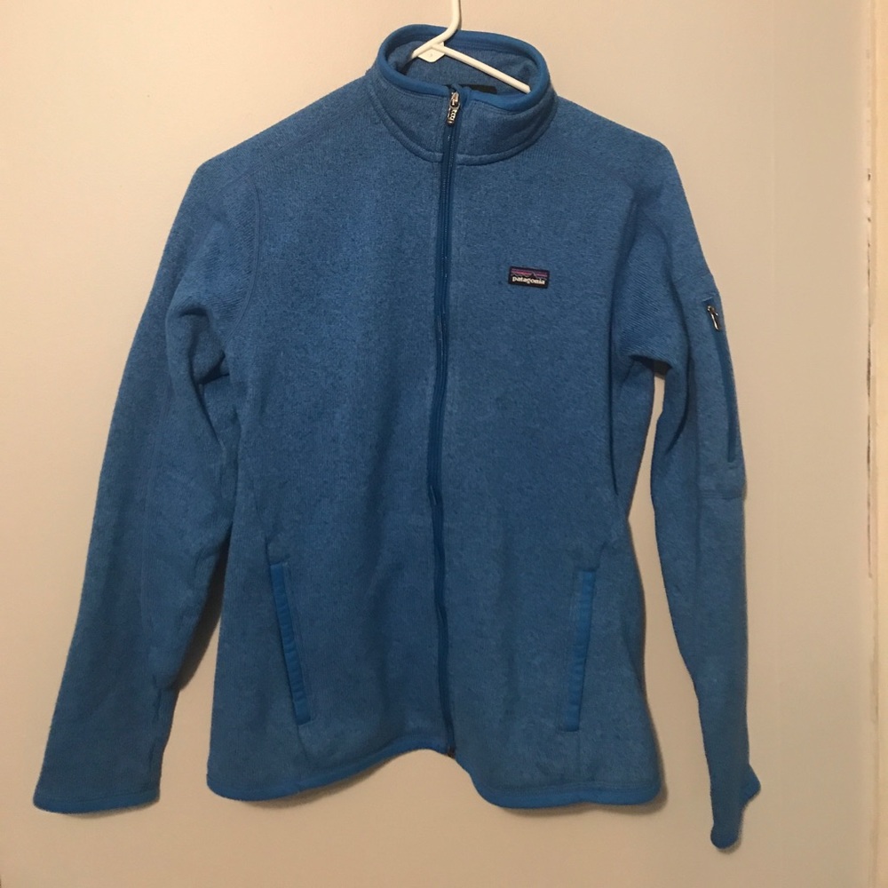 blue patagonia sweatshirt