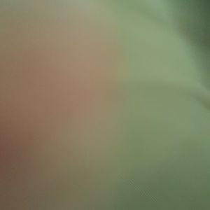 Meet your Posher, Shane