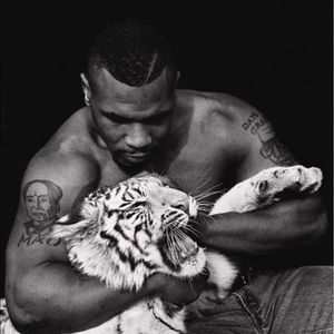 Meet your Posher, Maurice