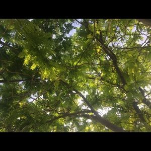 Meet your Posher, Arianna