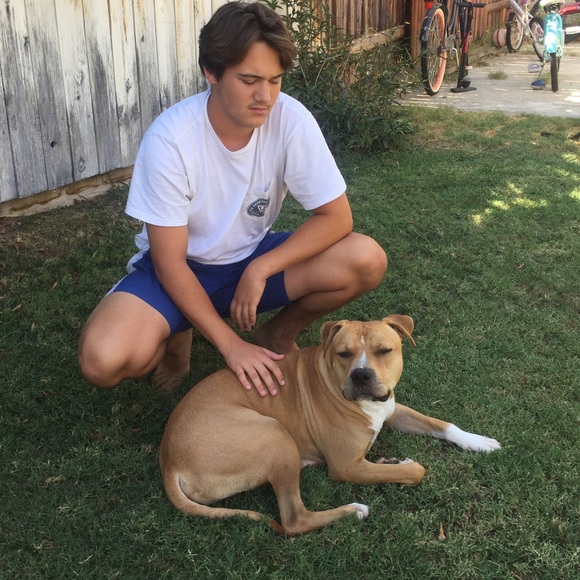 Meet your Posher, Kyle - Picture 1 of 1
