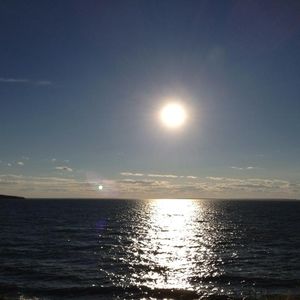 Meet your Posher, Ray