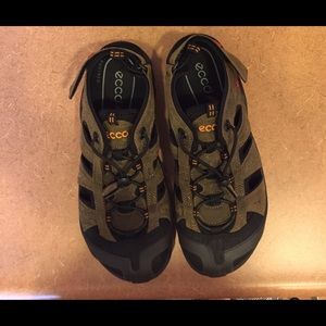 ecco receptor olive