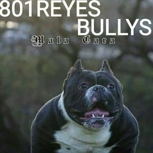 Meet your Posher, Arturo