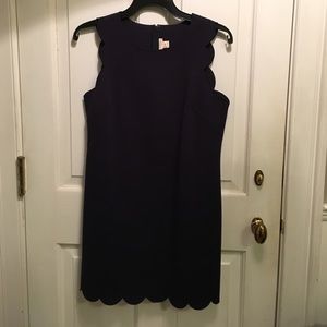 Navy Blue J. Crew Dress