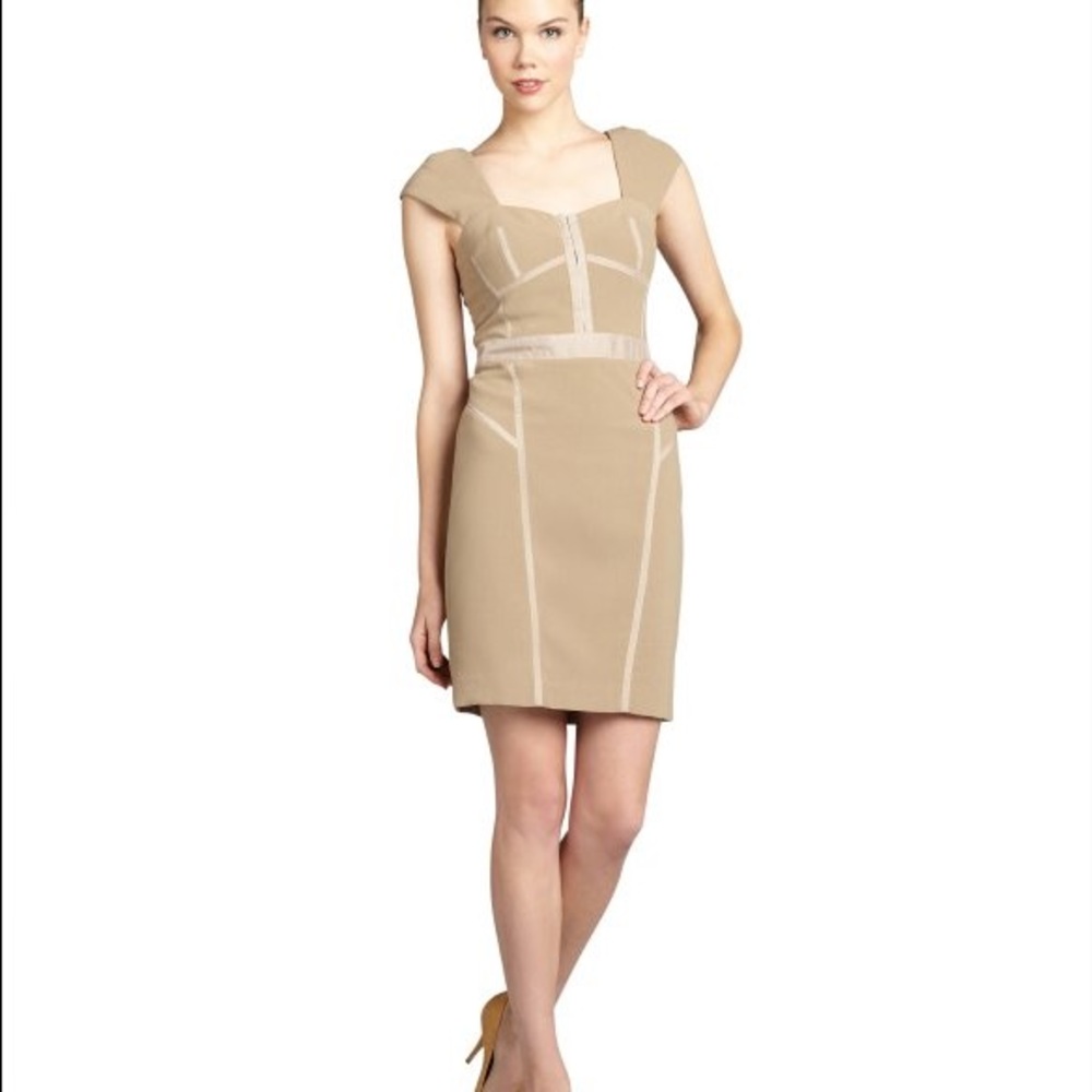 Rebecca Taylor Bustier Dress