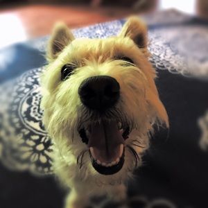 Meet your Posher, Kaitlin