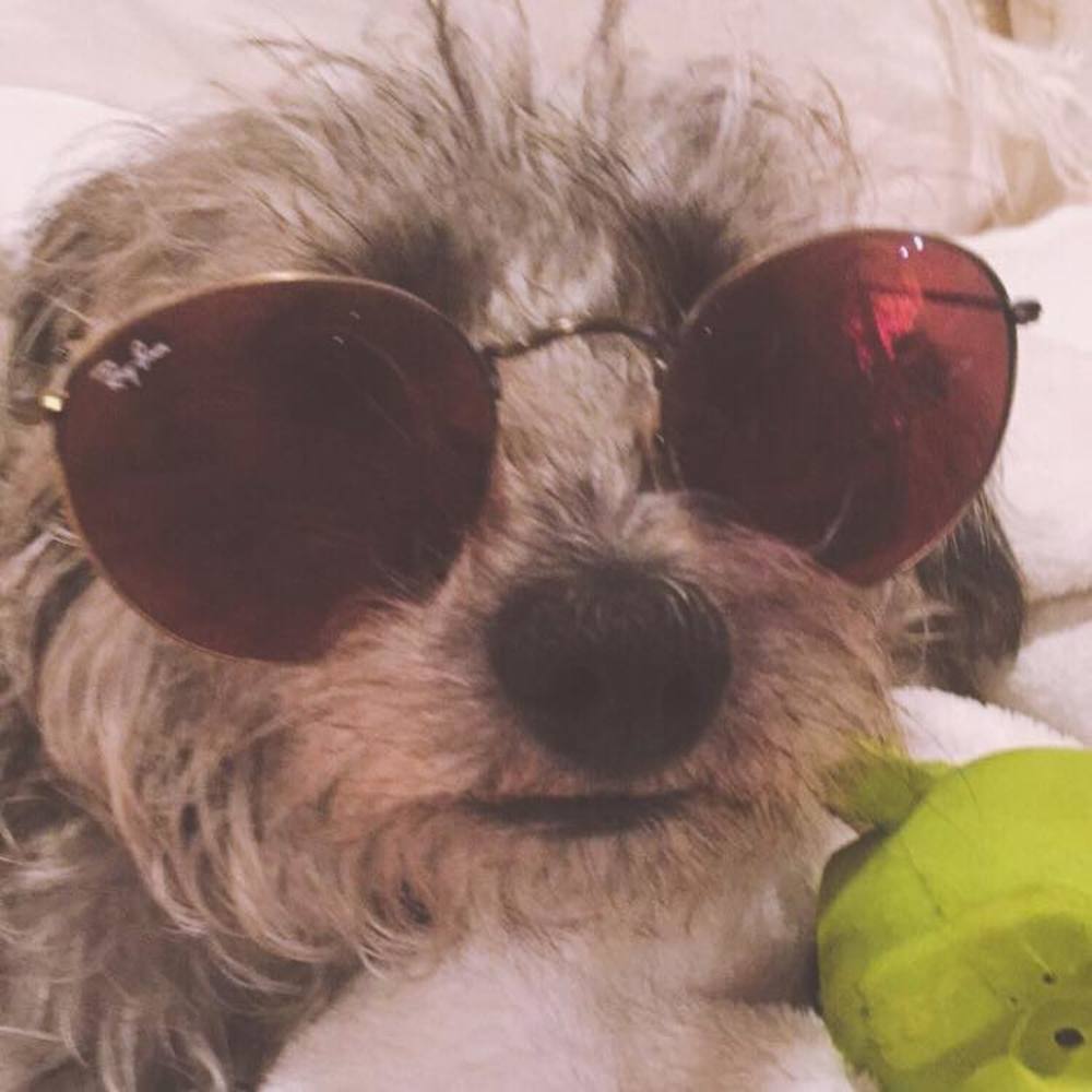 Meet your Posher, Erin