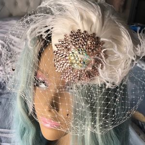 Beautiful ostrich feather birdcage veil