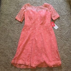 NWT Lace cocktail/bridesmaid Dress