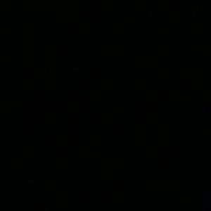 Meet your Posher, Bobert