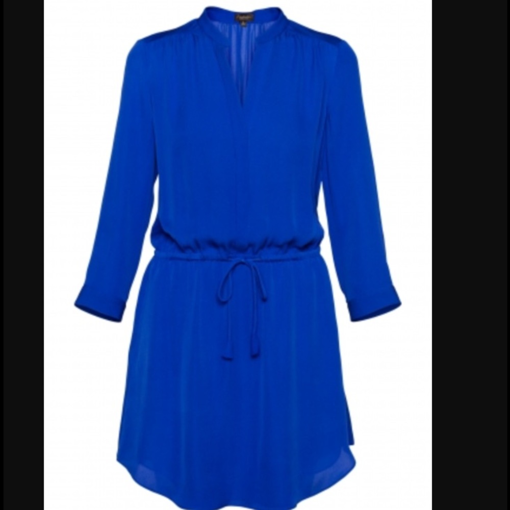 Aritzia 100% Silk T. Babaton Bennett Dress