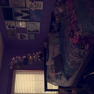 Aeropostale bed set (queen)
