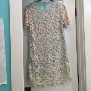 Tobi Lace Front Dress