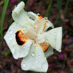 Meet your Posher, Christel