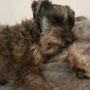 Meet your Posher, Krystal