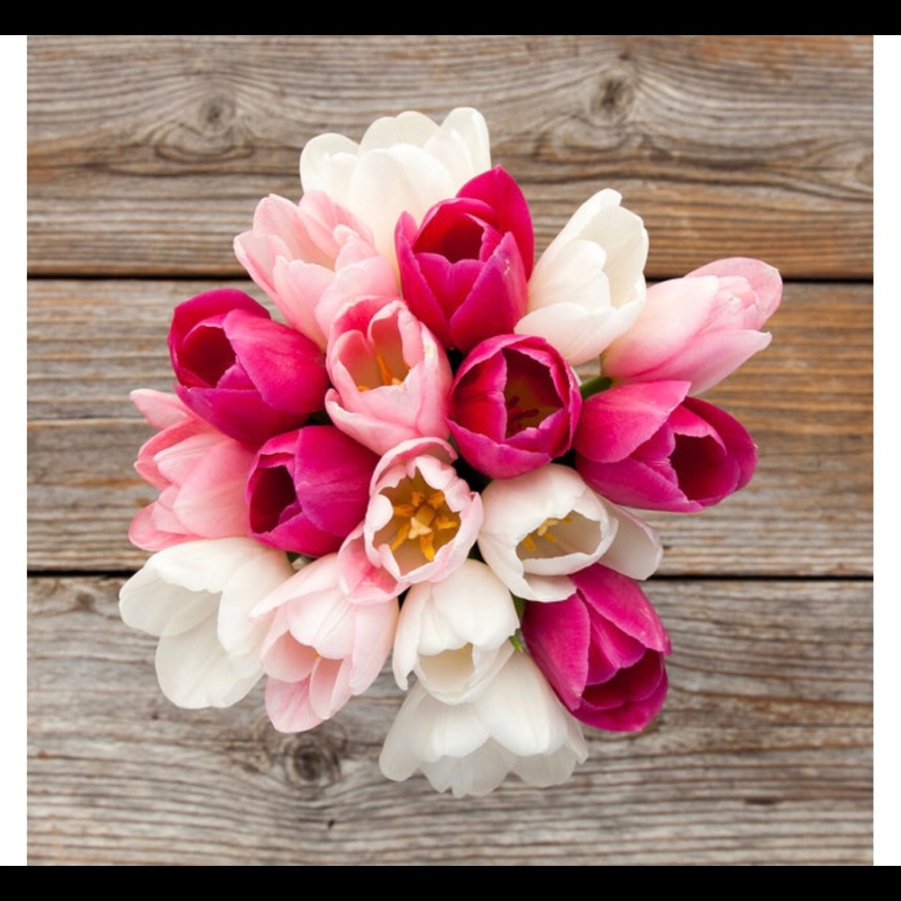 Meet your Posher, Victoria