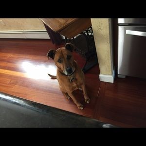 Meet your Posher, Christian