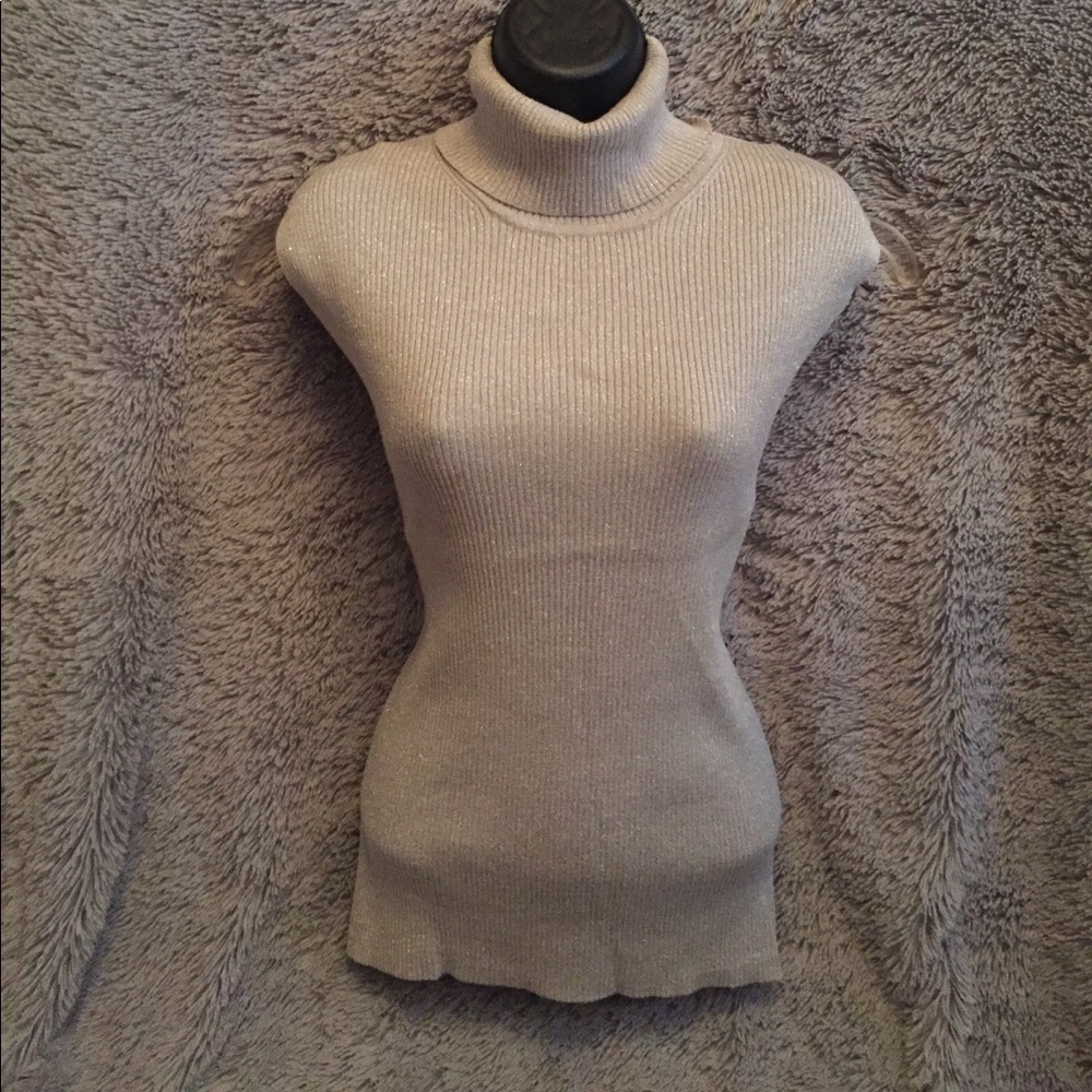 Sliver Sleeveless Turtleneck
