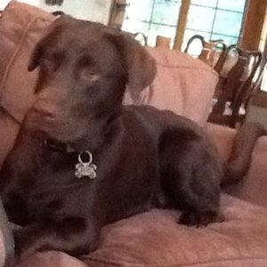 Meet your Posher, Candice