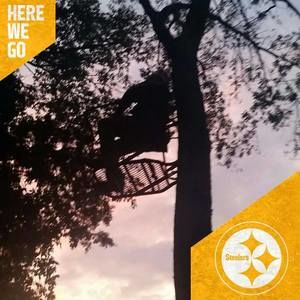 Meet your Posher, Tanner