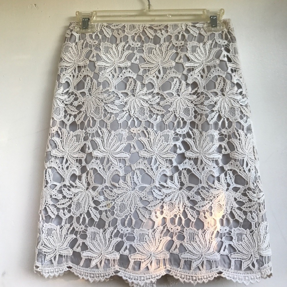 Ann Taylor Lace Skirt - 00P