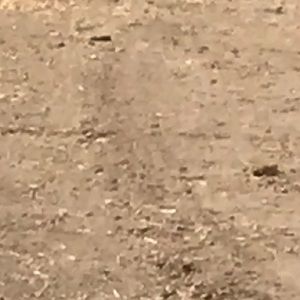 Meet your Posher, Omar