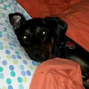 Meet your Posher, Erica