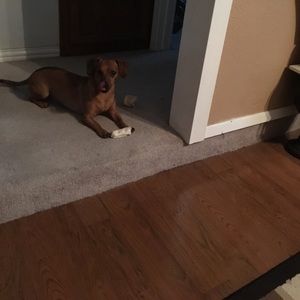 Meet your Posher, Melinda