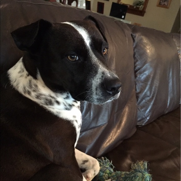 Meet your Posher, Joanne - Picture 1 of 1