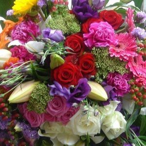 Meet your Posher, Nawal