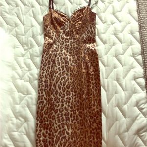 D&G leopard dress