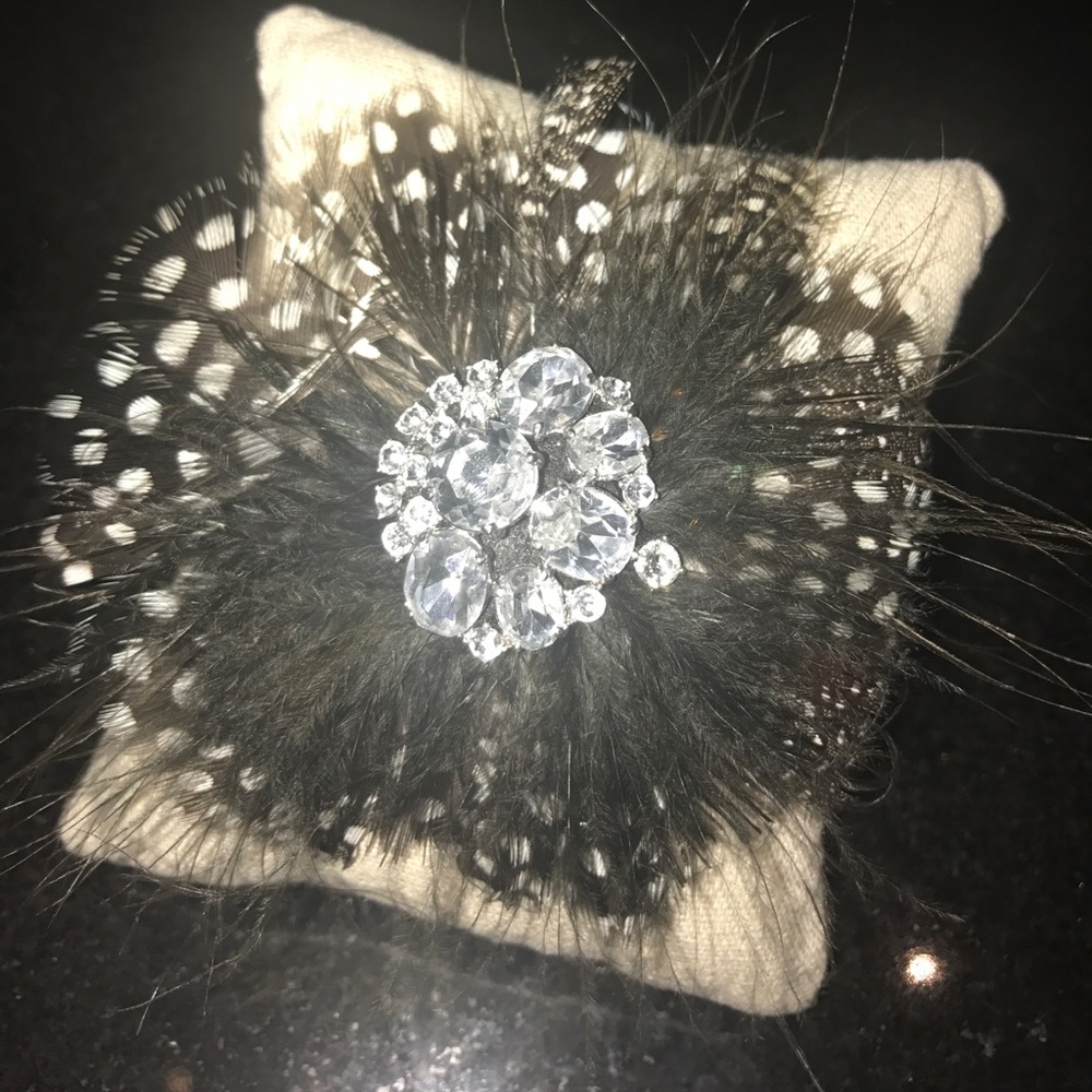 Plume brooch