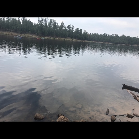 Meet your Posher, Bobby - Picture 1 of 1