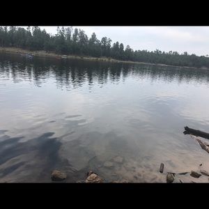 Meet your Posher, Bobby